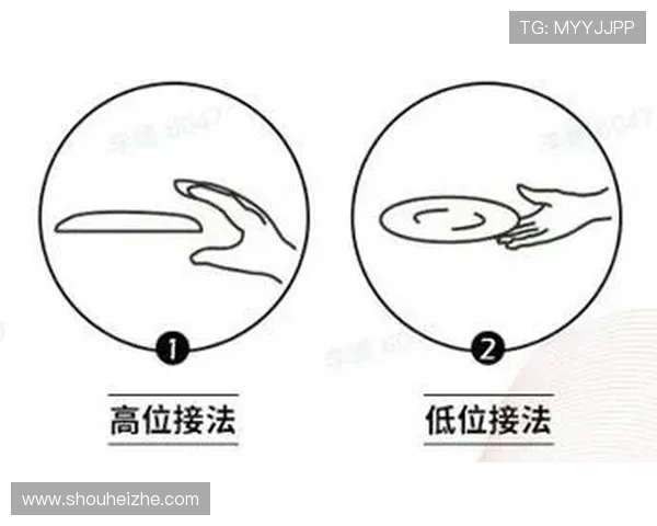 深圳飞盘队进攻战术解析与团队协作策略深度剖析