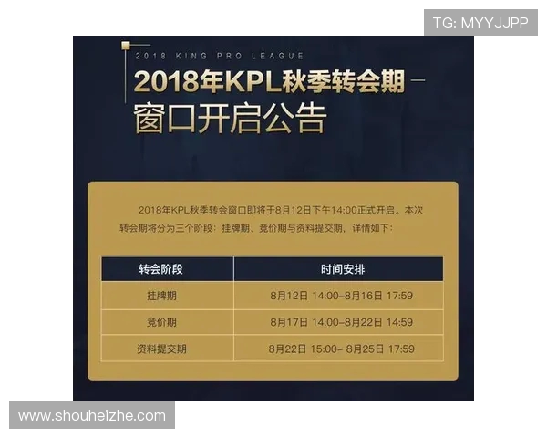 聚焦王者荣耀BLG战队的默契配合与战术分析探讨 聚焦王者荣耀BLG战队的默契配合与战术分析探讨