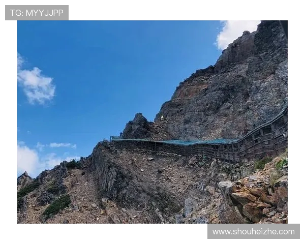 陈强独家揭秘攀岩技巧与心得分享助你征服高峰