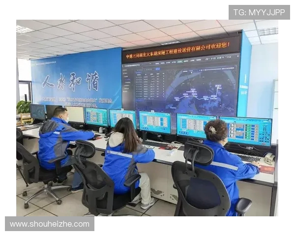 武汉羽毛球队运营分析：成功经验与发展挑战的深度探讨